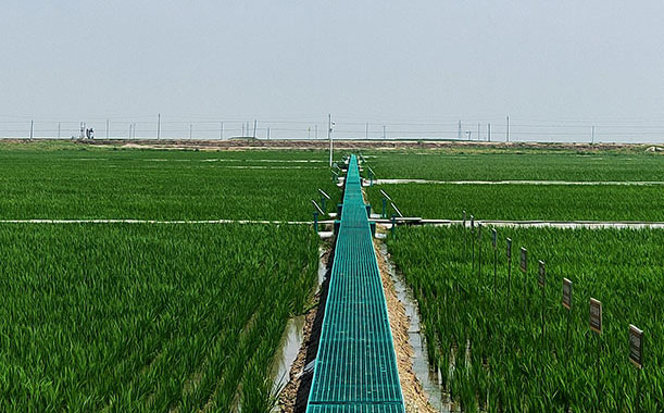 �k���籣��ע�����